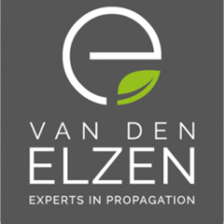 van den Elzen